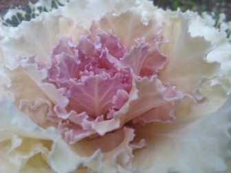 Priori3S LTEのカメラ