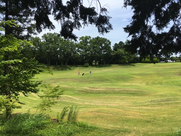 iPhone SEのカメラ 写真02