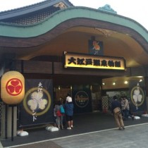 LCC早朝便に間に合う成田空港行きバス。東京駅と大江戸温泉から発着